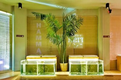 20-Minutes Natural Pedicure with Exotic Fish