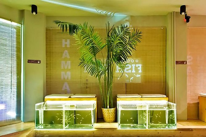 20-Minutes Natural Pedicure with Exotic Fish - Key Highlights You Will Actually Care About