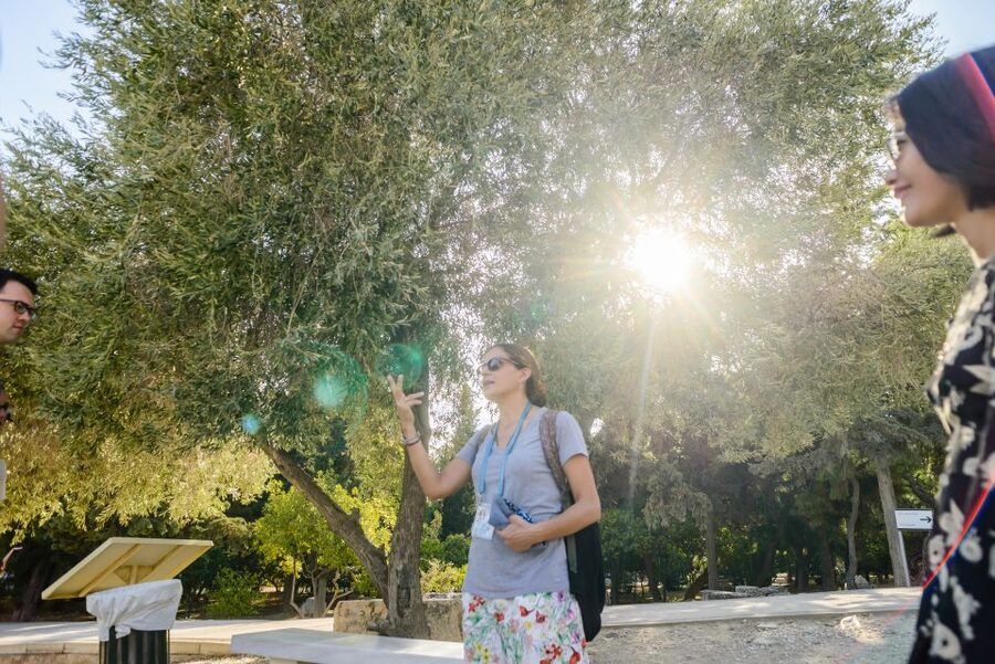 Acropolis: Acropolis and Parthenon Guided Walking Tour - Getting started at Porinou 5 and finding your people