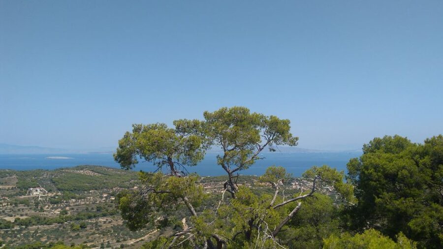 Aegina Island & Temple of Athina Aphaia Private Day Tour - Price and Value at $483 Per Person