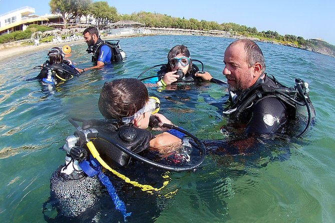 Anavyssos Athens Riviera: Beginners' Guided Try Scuba Diving - What you might see in the Aegean near Anavissos