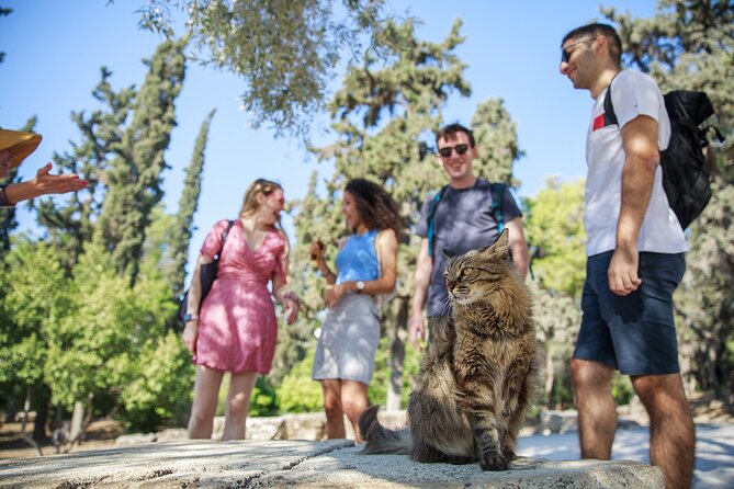Athens Acropolis and Parthenon Walking Tour - Stop-by-stop on the hill: what each part adds to your visit