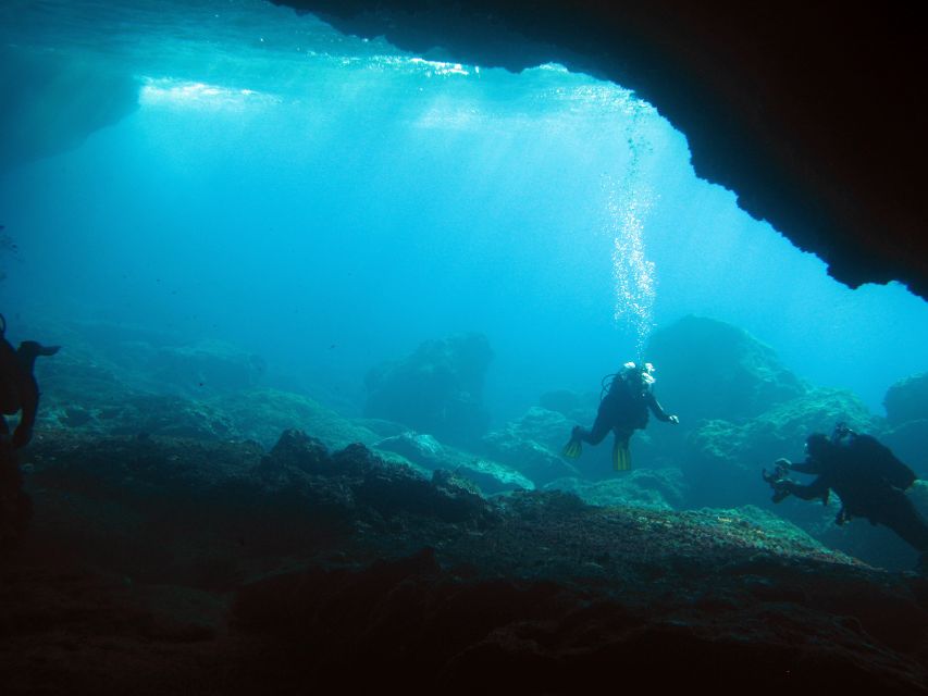 Athens: Adventure Dives in Nea Makri for Certified Divers - Key Highlights You Should Actually Care About
