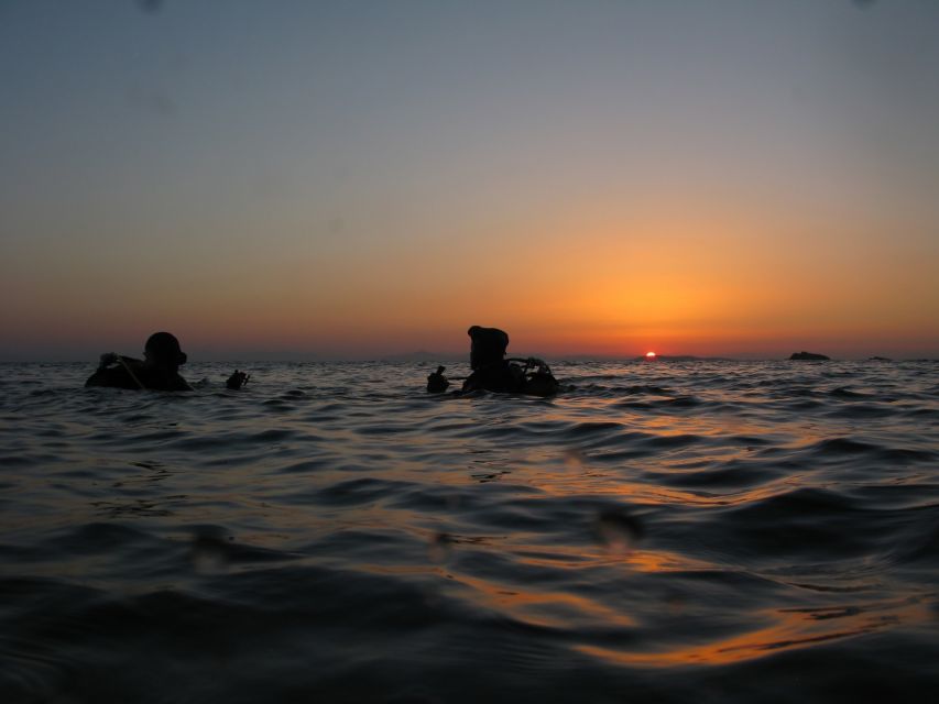 Athens: Adventure Dives in Nea Makri for Certified Divers - Who Should Book, and Who Should Skip This Day