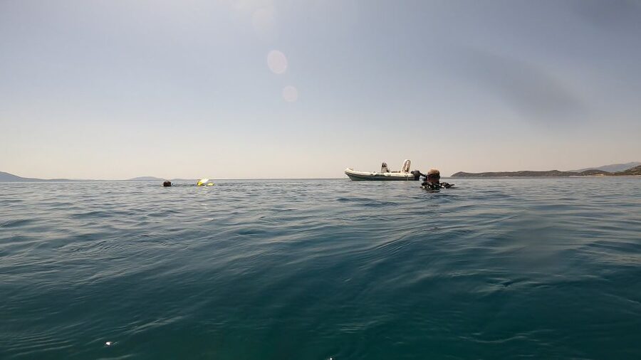 Athens: Adventure Dives in Nea Makri for Certified Divers - Price and Value: Is $64 a Fair Deal?