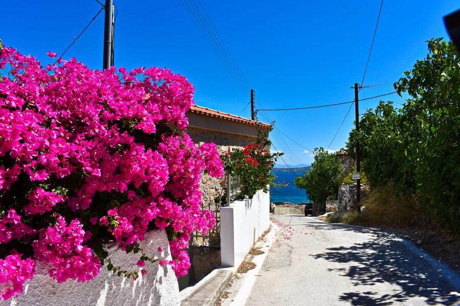 Athens: Agistri, Metopi & Aegina Cruise with Meals & Drinks - Key highlights you should care about