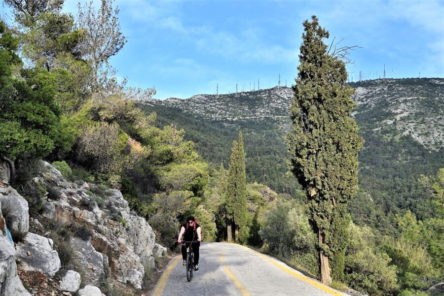 Athens: Electric Bicycle Tour to Mount Hymettus - Climbing the wooded slopes on a paved road