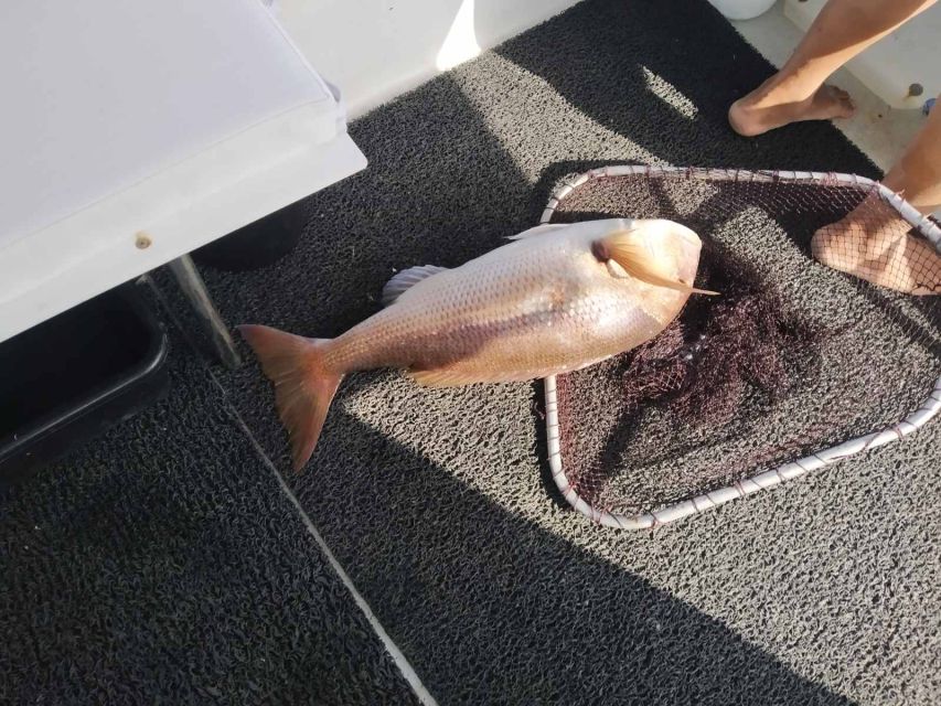 Athens: Fishing Trip Experience on a Boat with Seafood Meal - What the group size feels like, and why it matters