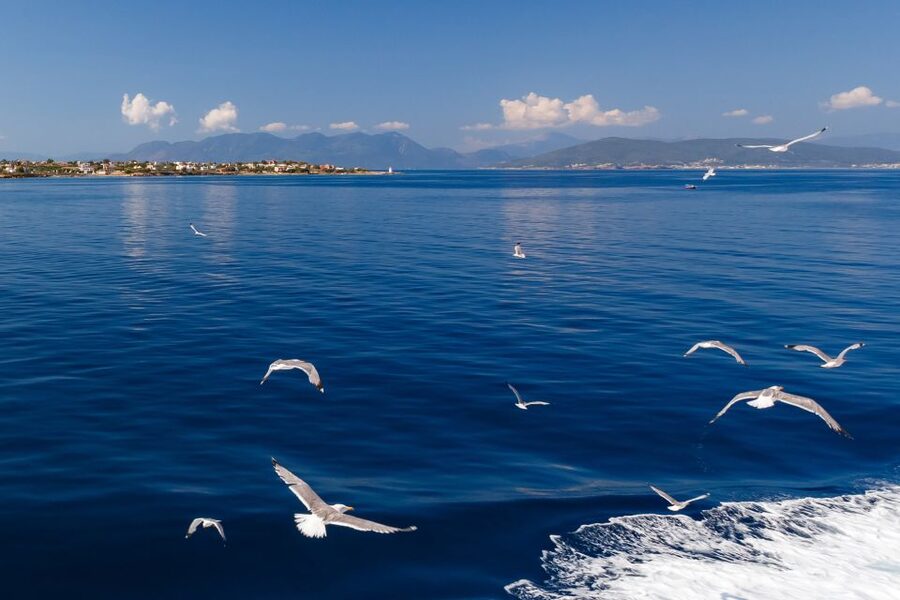 Athens: Guided Day Trip to Aegina Island with Swimming - Who should book this Aegina guided day trip, and who should skip it