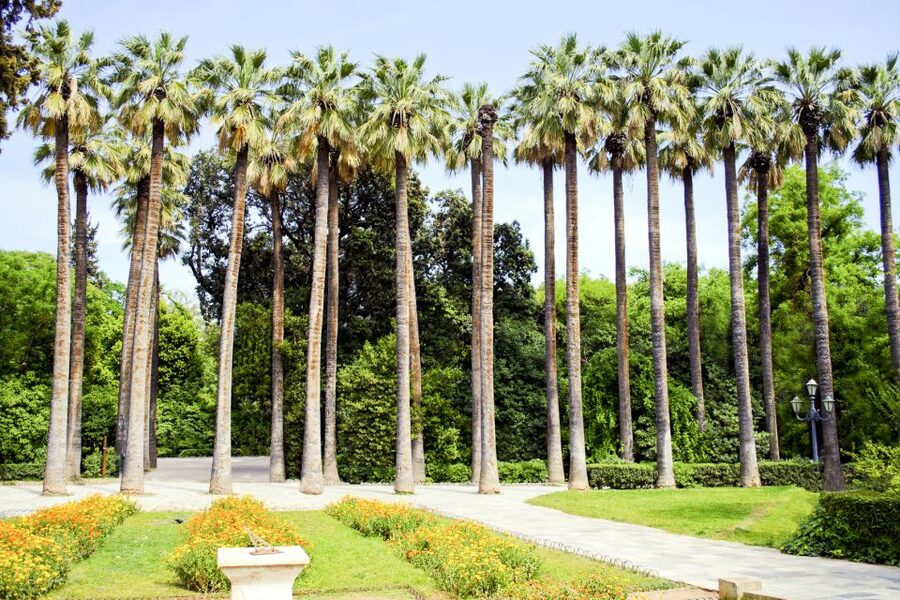 Athens Instagram Tour: The Most Scenic Spots - Greek Parliament and the Evzones: The Photo Stop Everyone Talks About