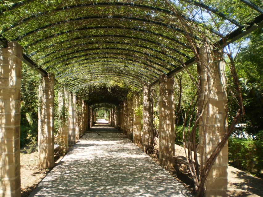 Athens: National Garden 2-Hour Segway Tour - Why the National Garden by Segway Feels Like a Smart Athens Shortcut