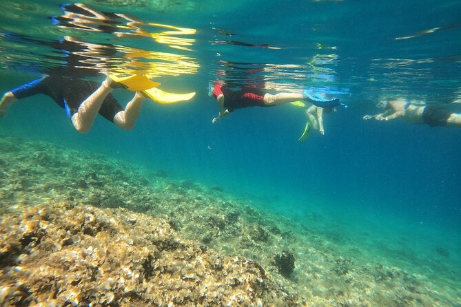 Athens, Nea Makri: Guided Small Group Snorkeling Boat Excursion - Schinias Bay: sandy relaxation in clear water