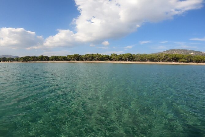 Athens, Nea Makri: Guided Small Group Snorkeling Boat Excursion - Price and value: what $102.80 really buys you here