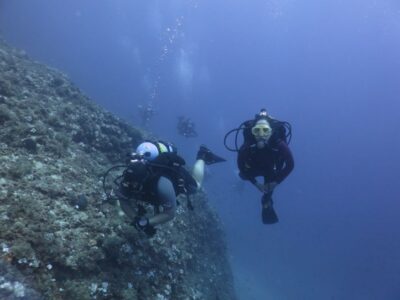 Private Discover Scuba Diving for Beginners