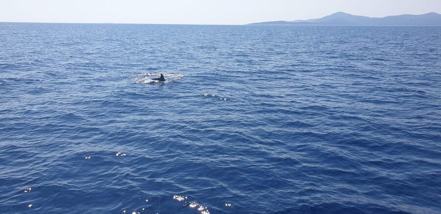Athens: Riviera Catamaran Tour with Fresh Meal and Drinks - Voula break time and water options before the return