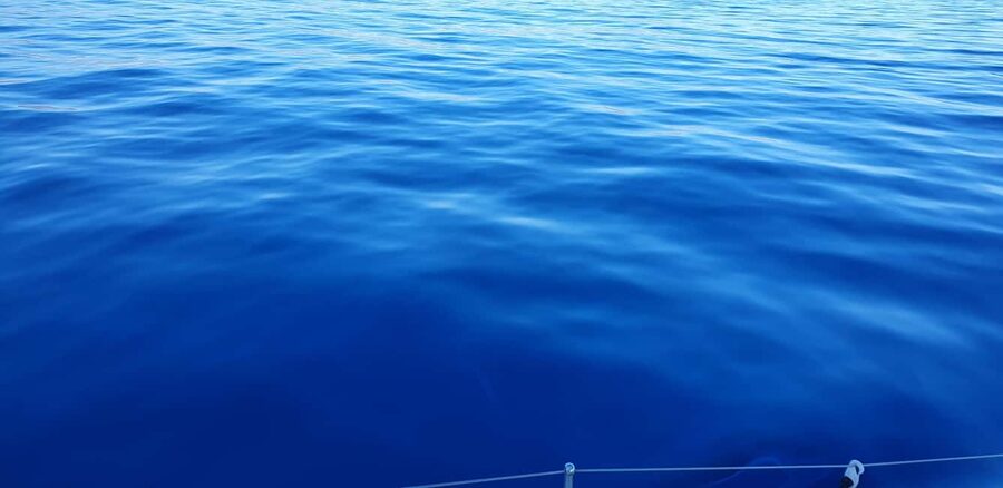 Athens Riviera Private Catamaran Cruise with Meal and Drinks - What to Pack for a 5-Hour Sea Day