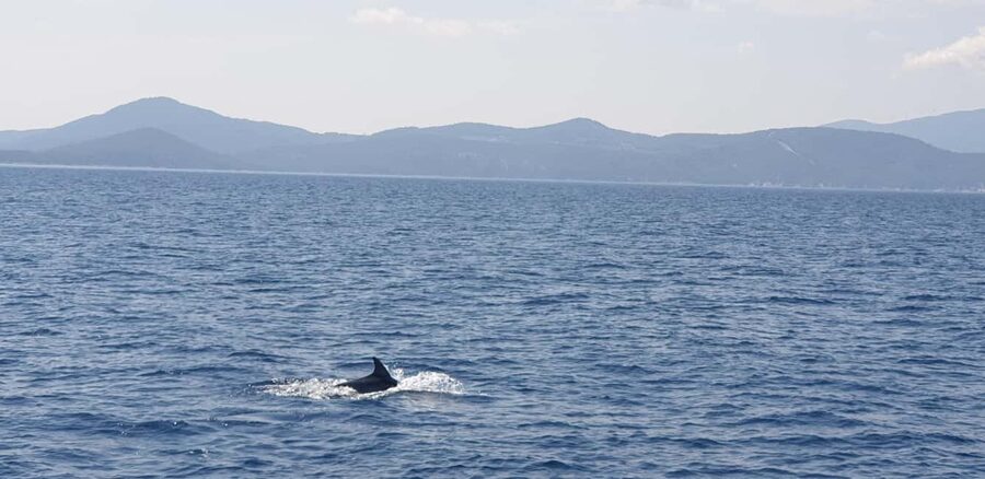 Athens Riviera Private Catamaran Cruise with Meal and Drinks - Vouliagmeni and Asteras Bay: Your First Swim and Snorkel Window