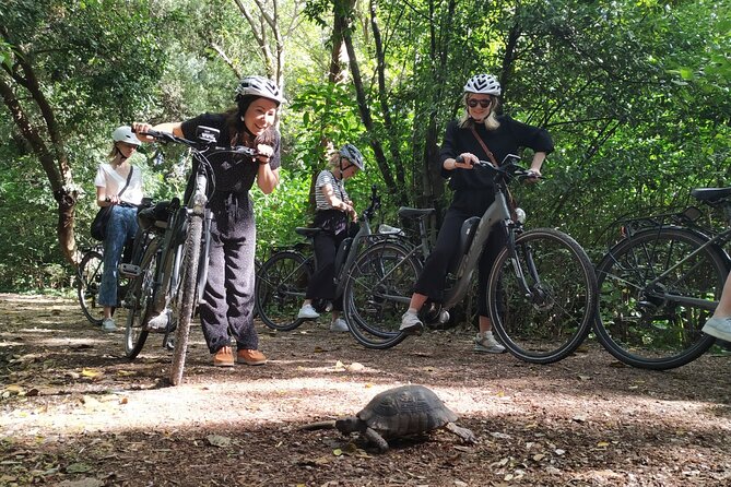 Athens Small Group Electric Bike Tour - Practical Fit: Who Should Book This Athens E-Bike Tour