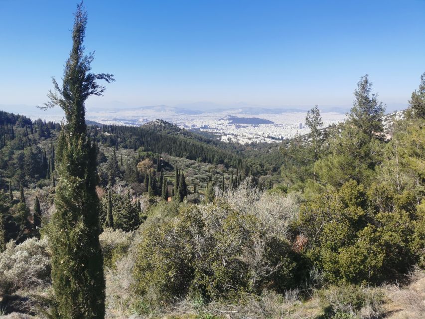 Athens Sunset Hike - Who This Athens Sunset Hike Fits Best