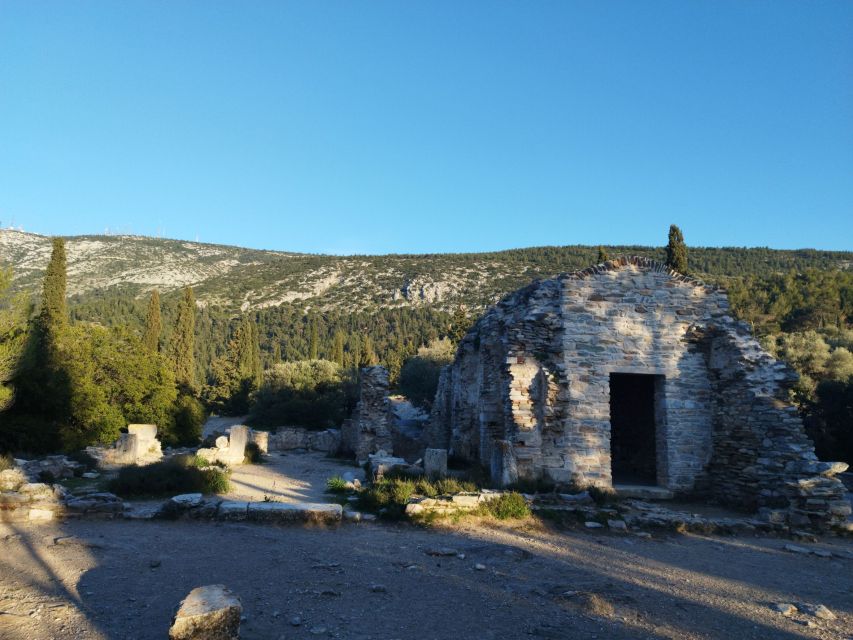 Athens Sunset Hike - Pine-Forest Paths, Local Nature, and the Fun of Wildlife Sightings