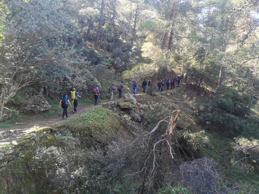 Athens Sunset Hike - Price and Value: Is $42 a Good Deal for This Athens Evening?