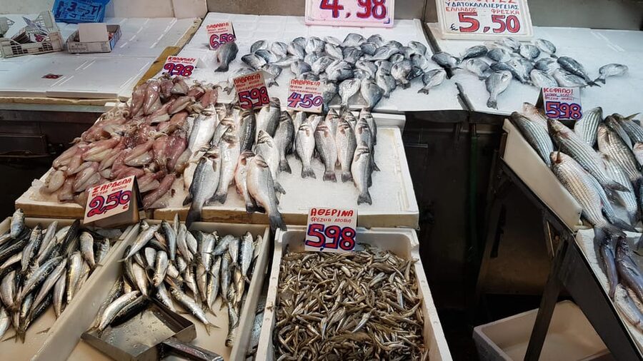 Athens: Traditional Greek food tour in hidden spots - Who should book this Athens food tour