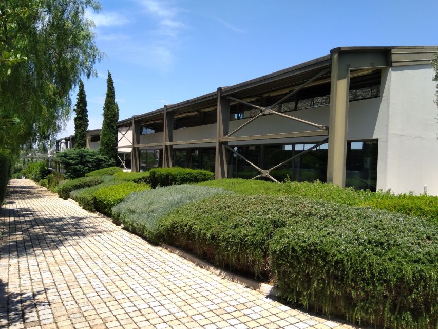 Athens Winery Tour - Key Highlights You’ll Actually Care About