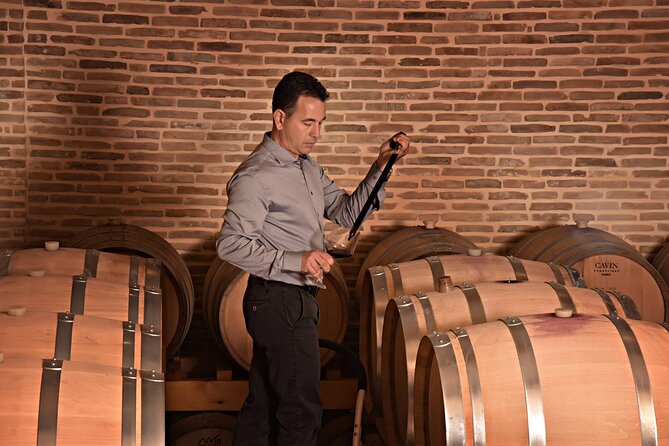 Corinth: Winery Tour and Organic Fine Wine Tastings - Key Highlights You’ll Want to Remember
