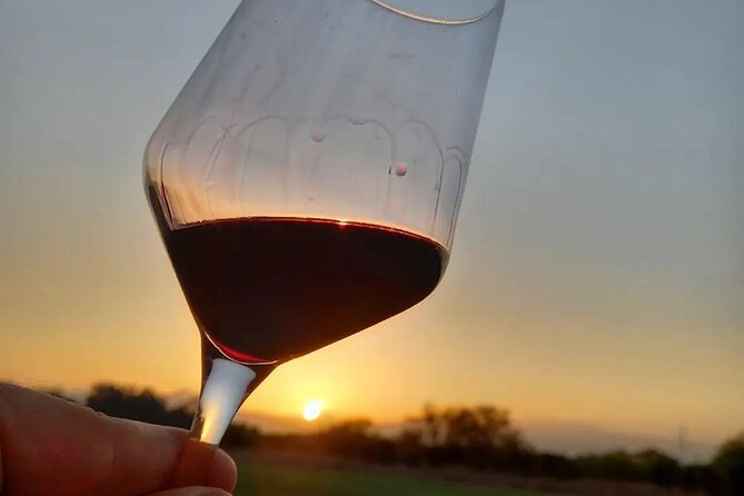 Corinth: Winery Tour and Organic Fine Wine Tastings - Vineyard to Glass: What You’ll Actually Learn During the Tour