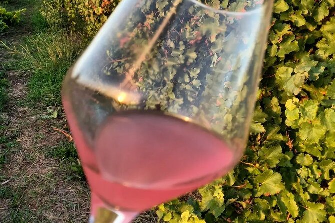 Corinth: Winery Tour and Organic Fine Wine Tastings - Food Pairings That Keep the Tasting Grounded