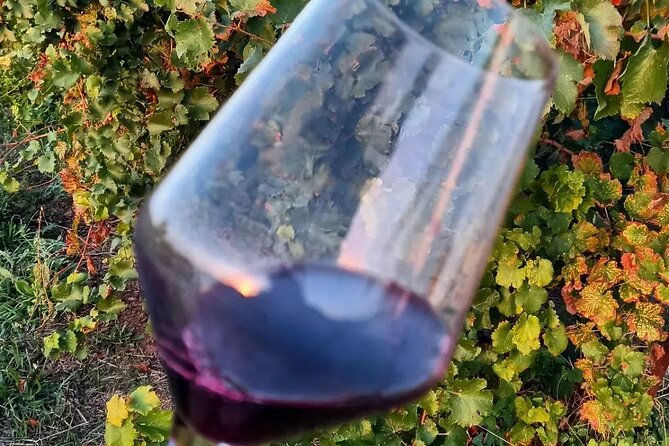 Corinth: Winery Tour and Organic Fine Wine Tastings - Price and Value: Is $50 Worth 1.5 Hours of Wine Education?