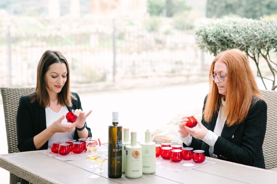 Corinthian olive oil tour & tasting experience - Wine, Cooking, and Regional Food: How the Day Gets Flavor Attached