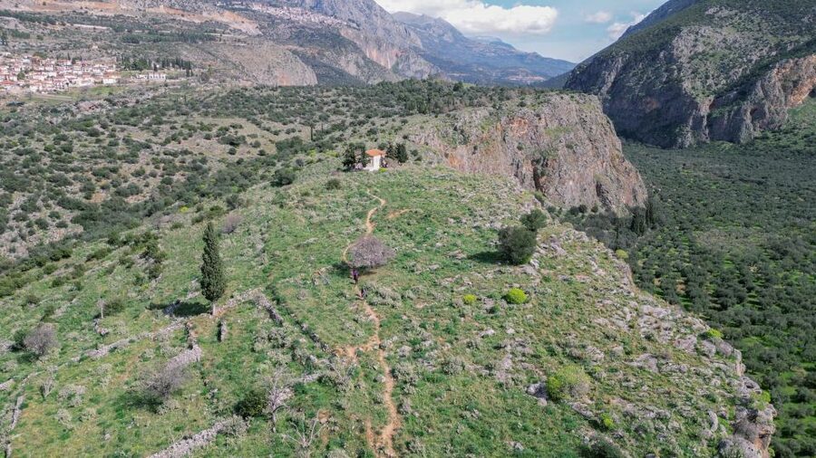 Delphi: Easy Hike on Ancient Path through the Olive Groves - Key Things You Should Know Before You Go