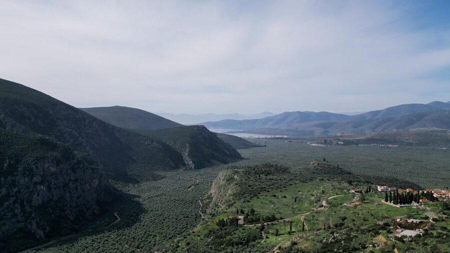 Delphi: Easy Hike on Ancient Path through the Olive Groves - The Olive Groves to the Coast of Aggali (Without the Grind)