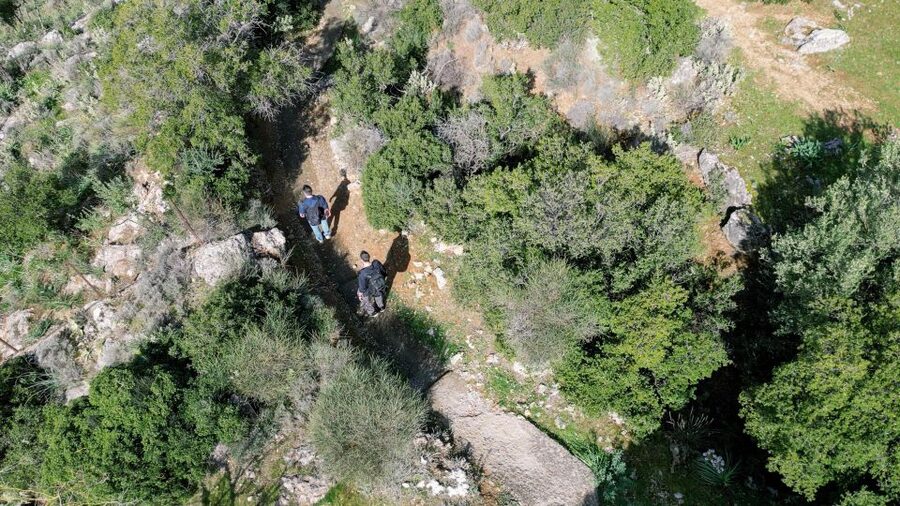 Delphi: Easy Hike on Ancient Path through the Olive Groves - Price and Value: What $35 Buys You Here