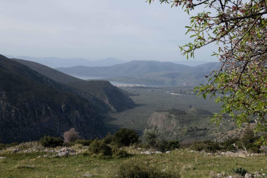Delphi: Easy Hike on Ancient Path through the Olive Groves - What to Bring, and How to Match Your Day to the Heat
