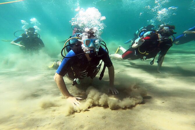Discover Small Group Scuba Diving Experience in Nea Makri, Athens - Key highlights worth caring about