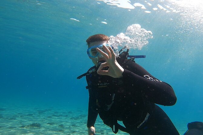 Discover Small Group Scuba Diving Experience in Nea Makri, Athens - Health and planning notes: flying timing, questionnaires, and age limits