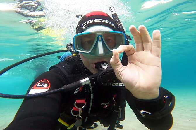 Discover Small Group Scuba Diving Experience in Nea Makri, Athens - Who this is best for, and who might want a different option