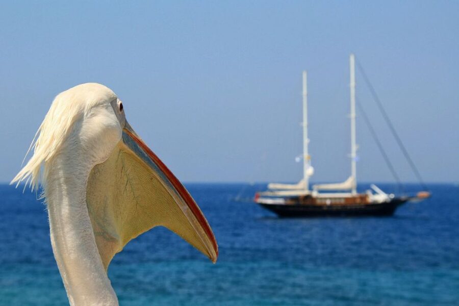 From Athens: 2-Day Santorini and Mykonos Trip - Why this Athens to Santorini and Mykonos plan makes sense in 2 days