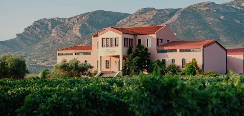 From Athens: Ancient Sparta and Nemea Wine Country Day Trip - The Sparta Archaeological Museum: where context clicks