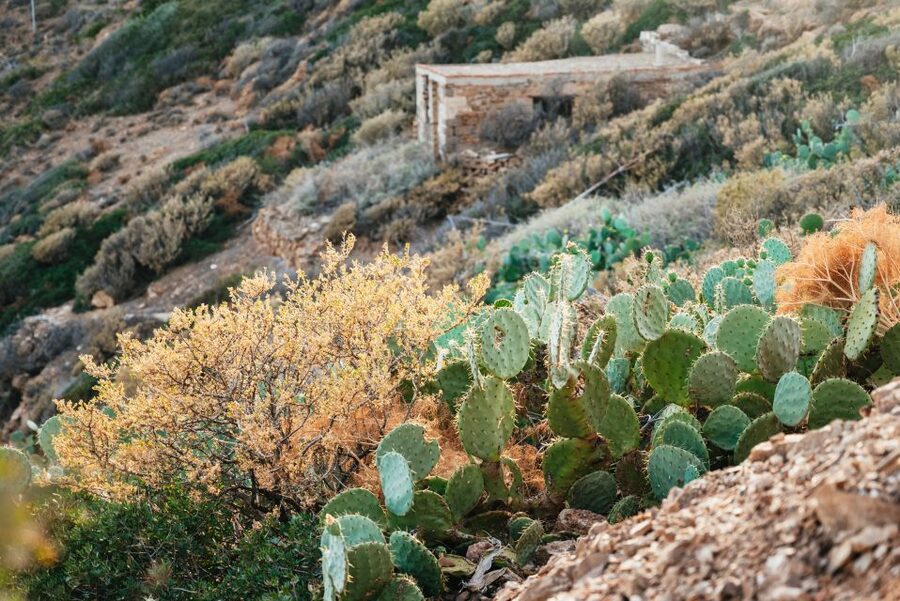 From Athens: Cape Sounion & Temple of Poseidon Half Day Tour - Vouliagmeni Lake photo stop, quick but useful