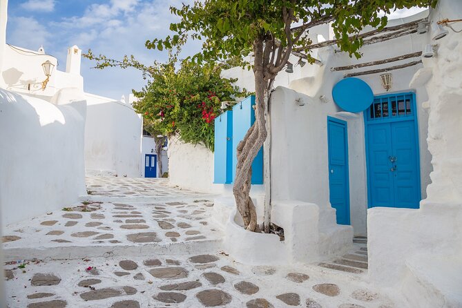From Athens: Day Tour to Mykonos - The guided photo-walk: Little Venice, pelicans, and windmills