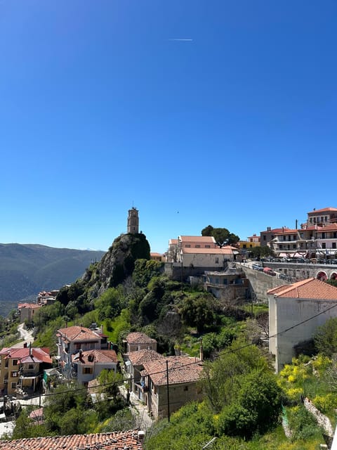 From Athens: Delphi and Arachova Private Tour - Who this private Delphi and Arachova tour is best for