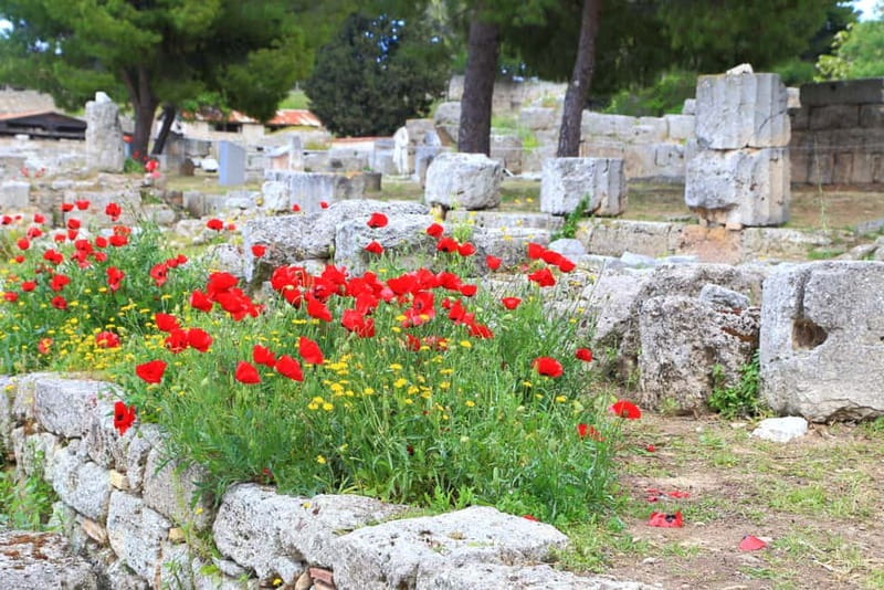 From Athens: Explore Ancient Corinth & Charming Nafplion - Pickup, Timing, and the Realities of a 10 Hour Day