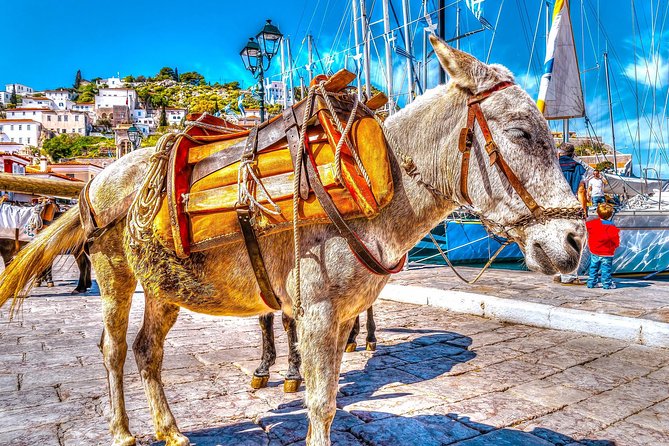 From Athens: Hydra, Poros, and Aegina Day Cruise with Lunch - Getting to the port: Athens transfers and your first “water views”