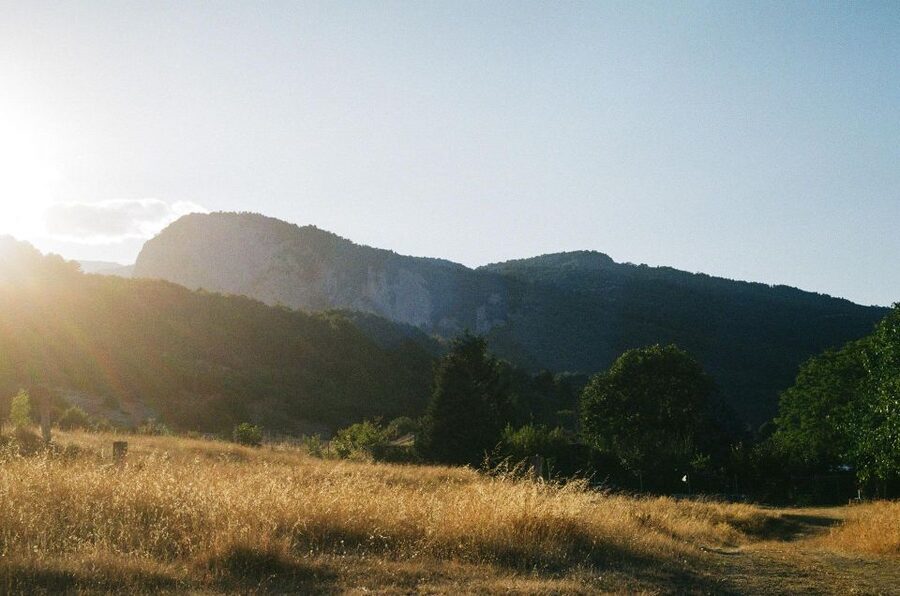 From Athens: Mt. Olympus National Park Guided Day Tour - Who this day trip is best for