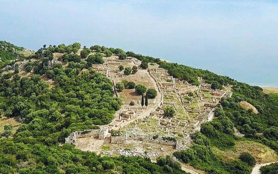 From Athens: Private Historic Tour to Marathon & Thermopylae - Stop 3: Thermopylae, Leonidas on display, and a museum built for the story