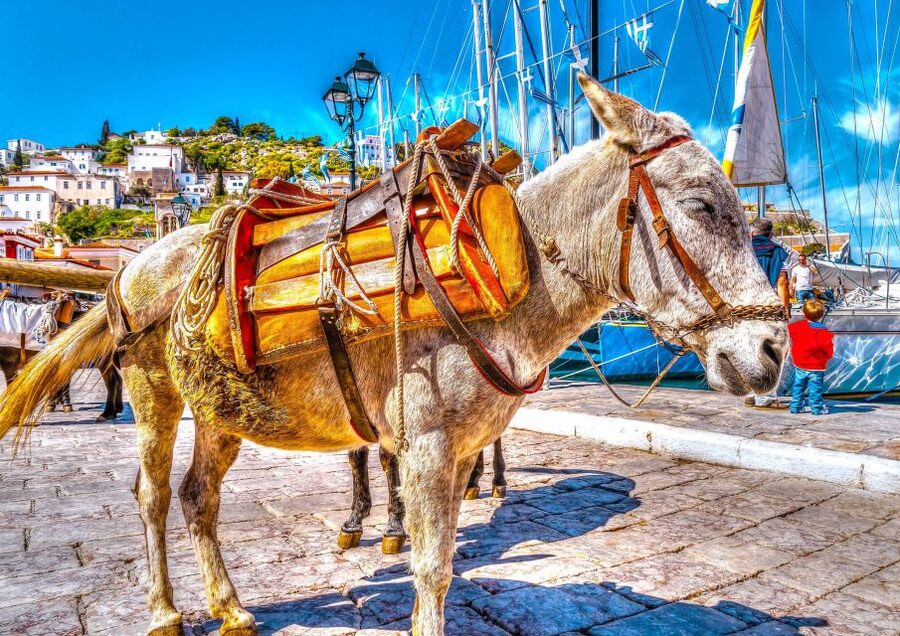 From Athens: Saronic Islands Full-Day Cruise with VIP Seats - What the VIP Time Really Changes on a Long Day