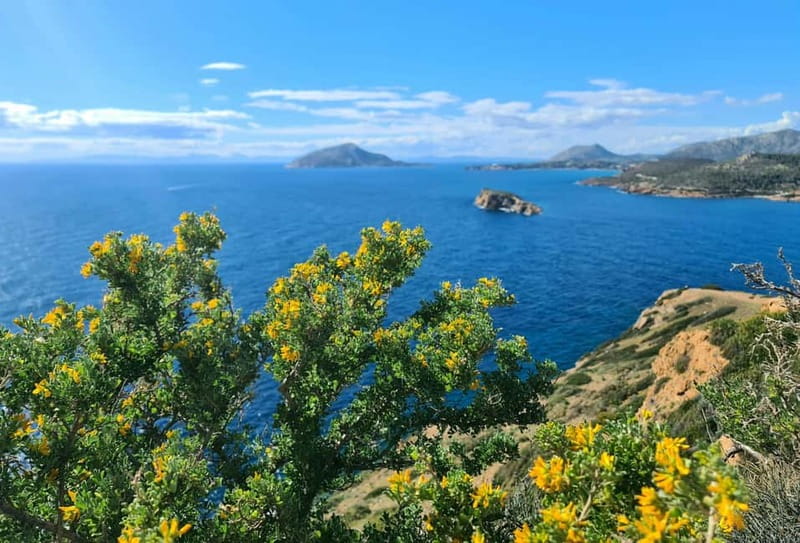 From Athens: Temple of Poseidon & Cape Sounion Half-Day Tour - The Coastal Bus Ride Out of Athens: How the Route Makes It Worth It